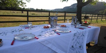 Repas champêtre sous le noyer