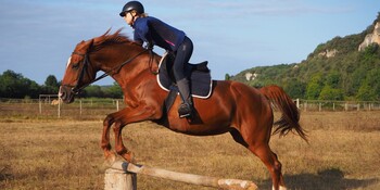 Saut d'obstacle aux Eymaries